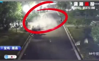 陕西夜狸猫事件真相解密，陕西夜狸猫图片